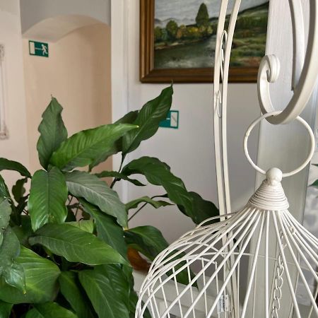 Penzion Pomodoro Vrbno pod Pradědem المظهر الخارجي الصورة