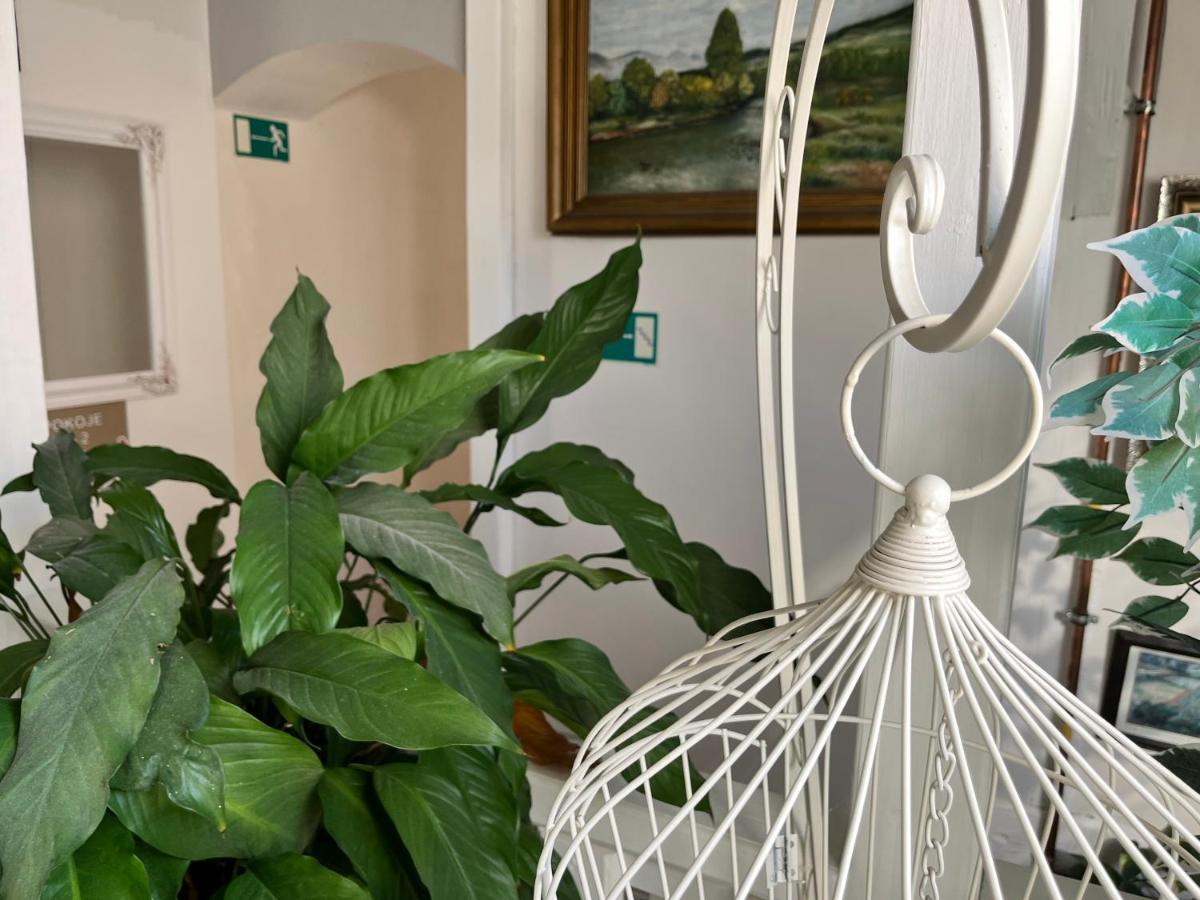 Penzion Pomodoro Vrbno pod Pradědem المظهر الخارجي الصورة