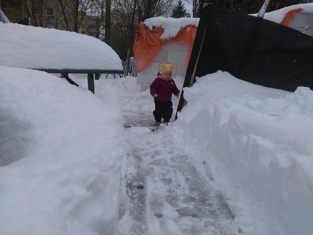 Penzion Pomodoro Vrbno pod Pradědem المظهر الخارجي الصورة